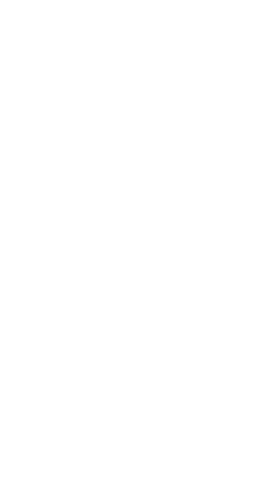 Couronne de laurier côté droit